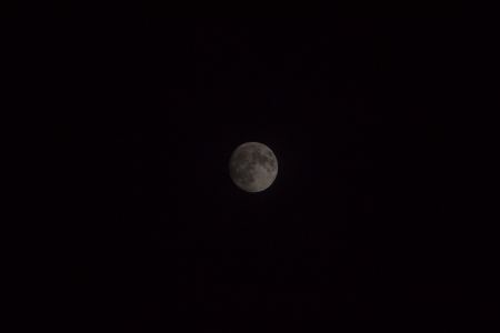 mond2