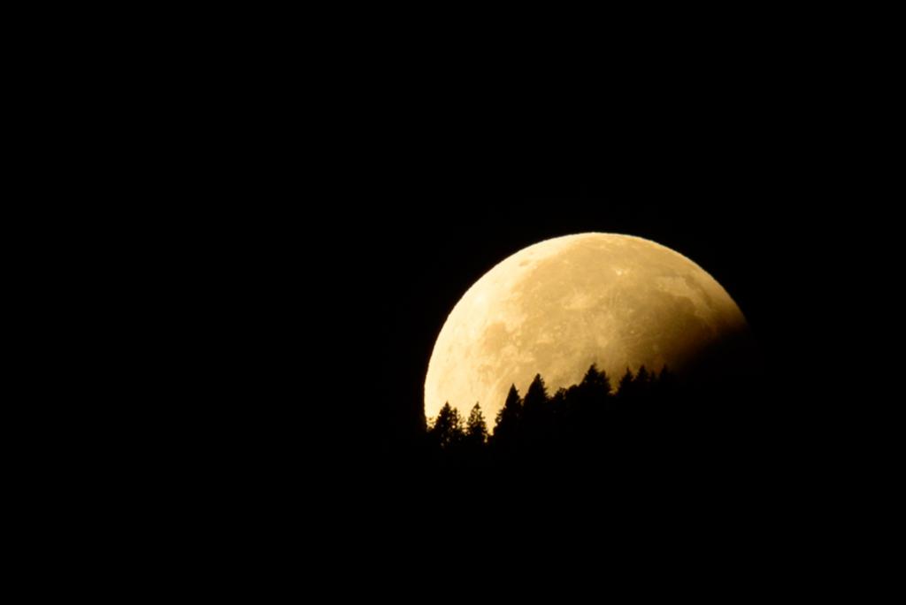 Mondfinsternis, Untergang hinter dem Wald