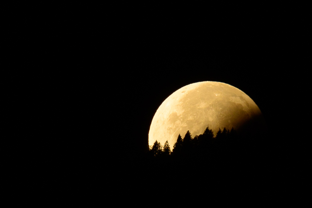 Mondfinsternis, Untergang hinter dem Wald
