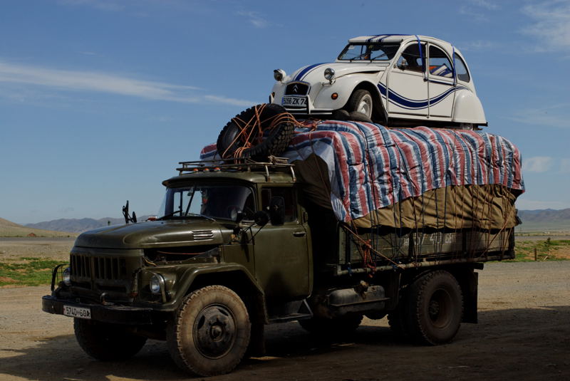 Mongolischer Ententransport
