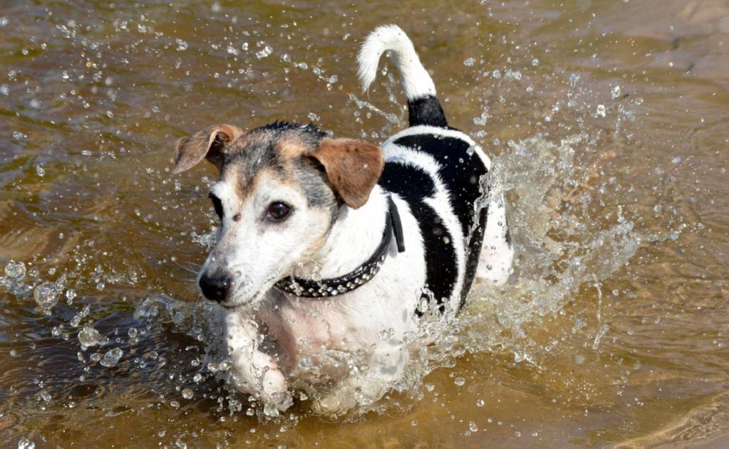 Moni in the water