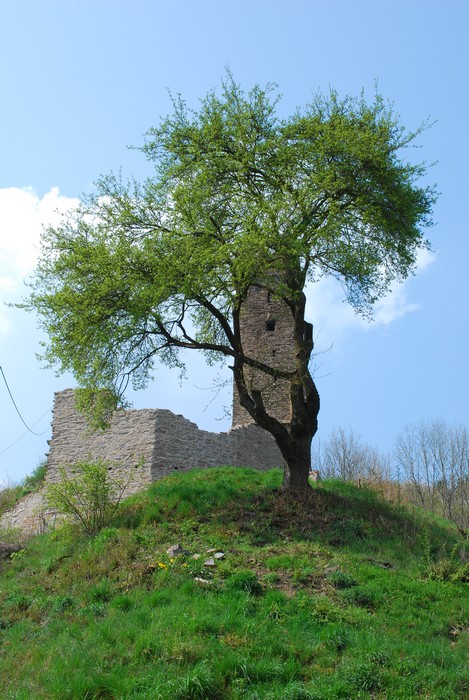 Monreal Burg 409
