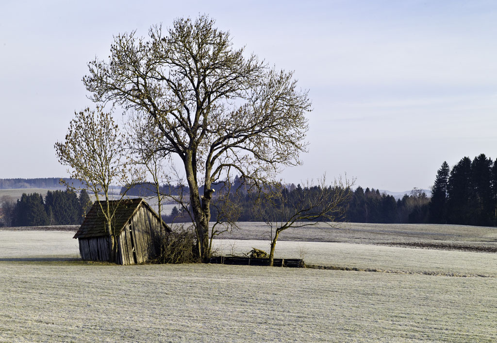 montag morgen