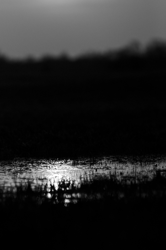 Moor 03 www