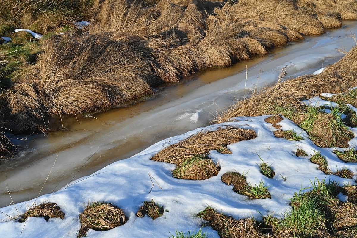 Moorgraben im Winter.jpg