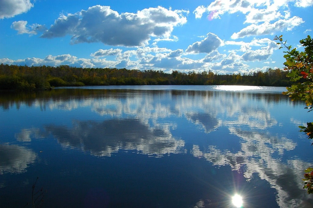 Moorsee