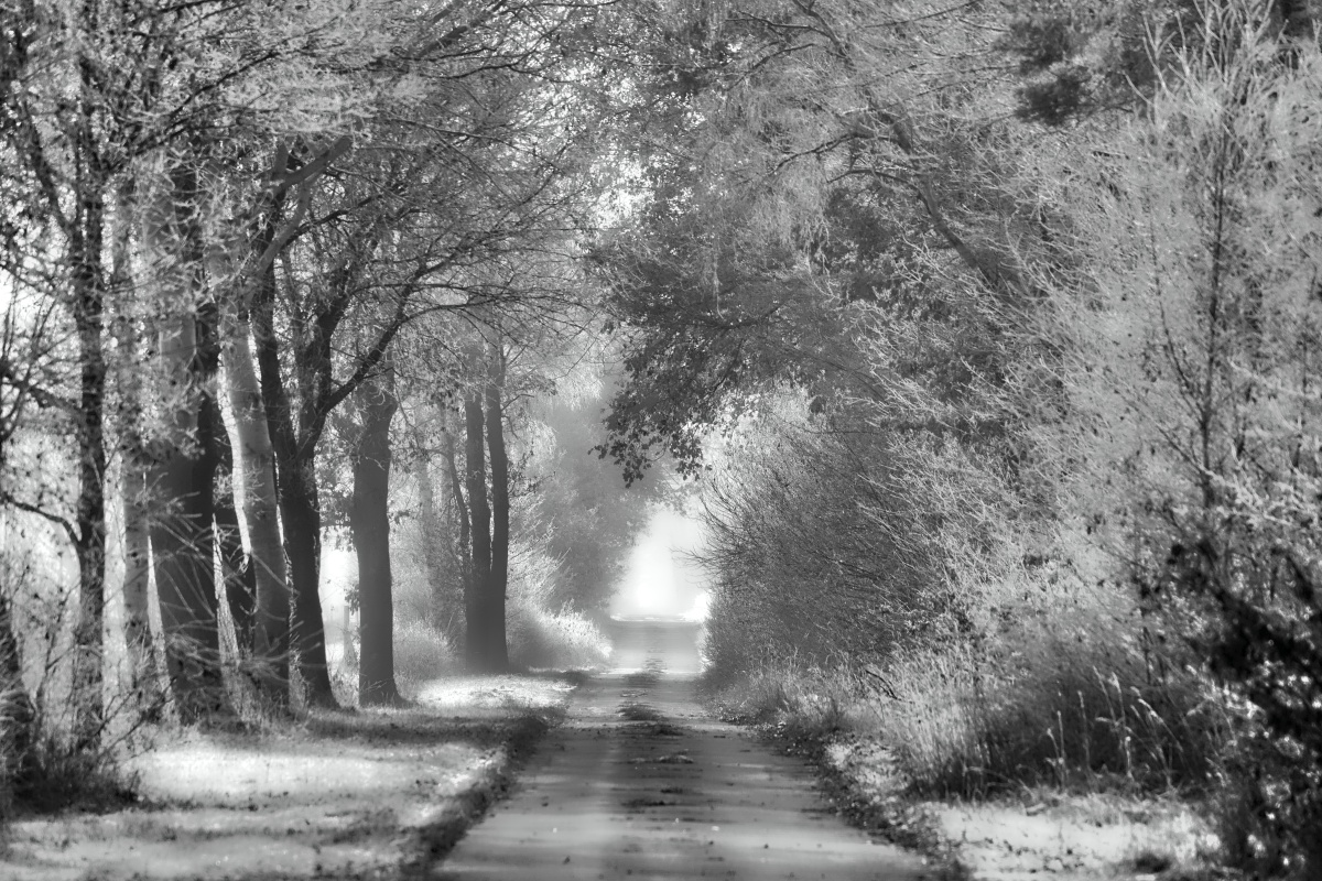 Moorweg 3 BW.jpg