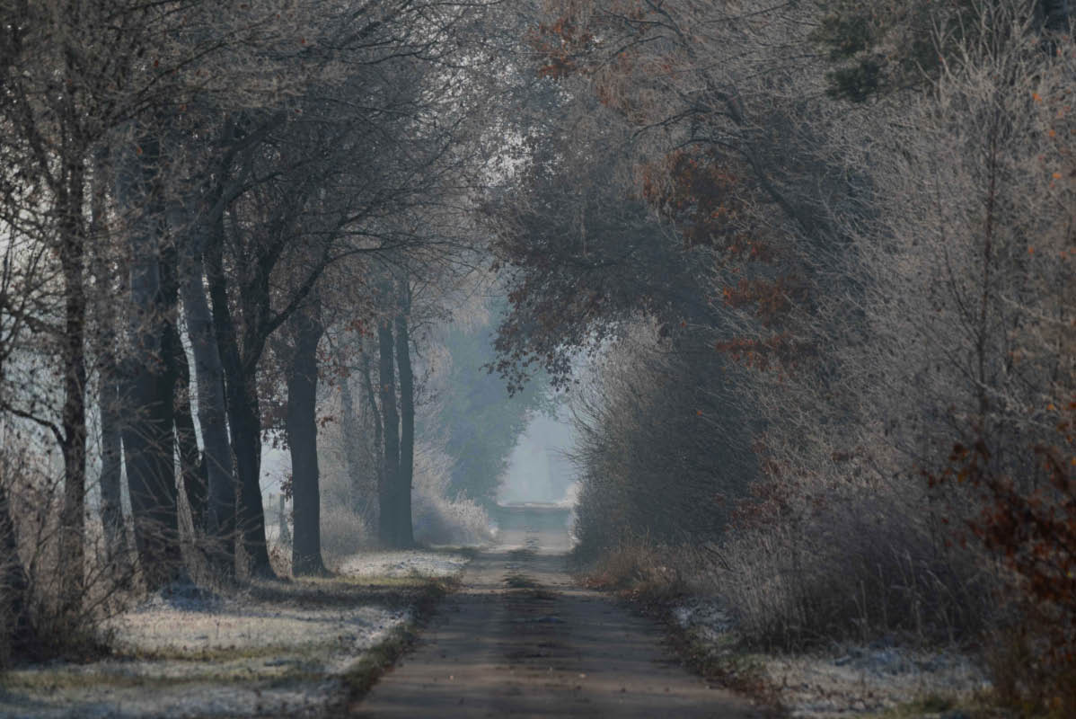 Moorweg 4.jpg
