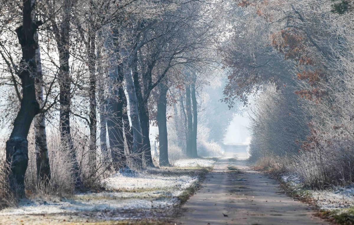 Moorweg.jpg