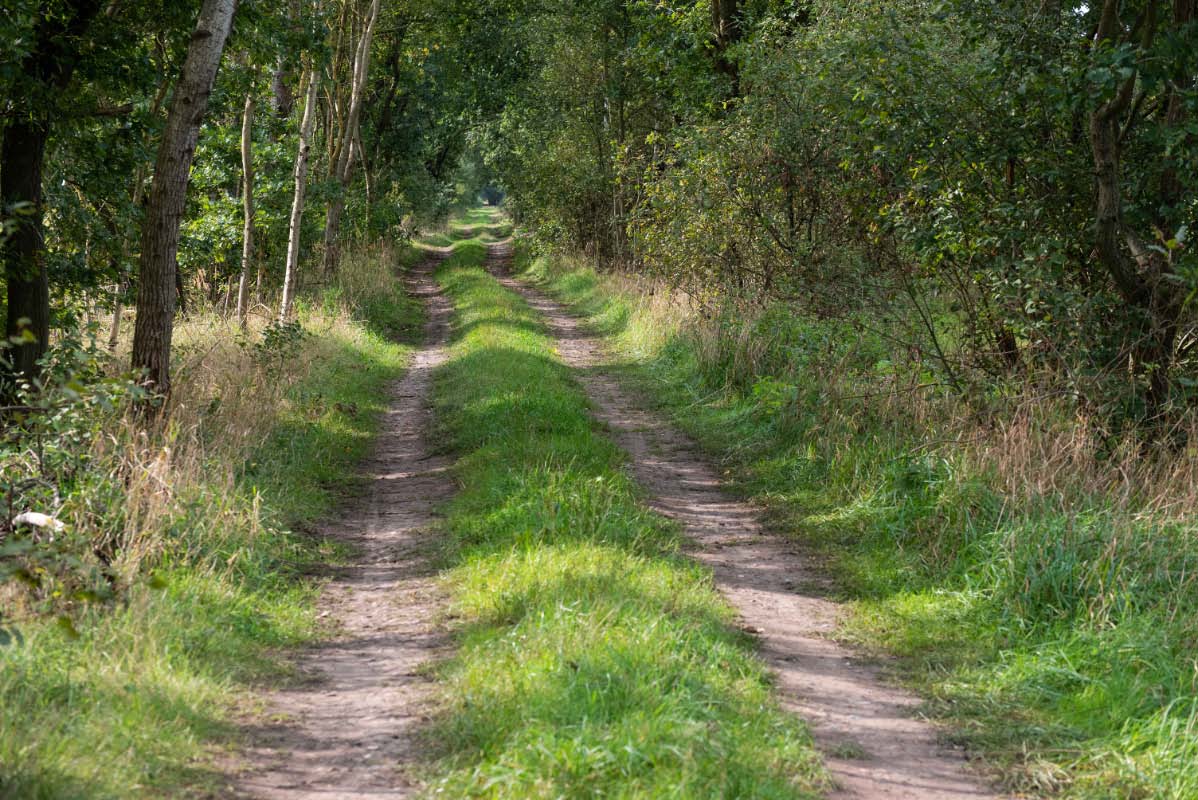 Moorweg.jpg