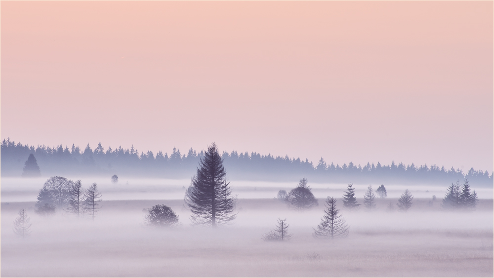 more fog