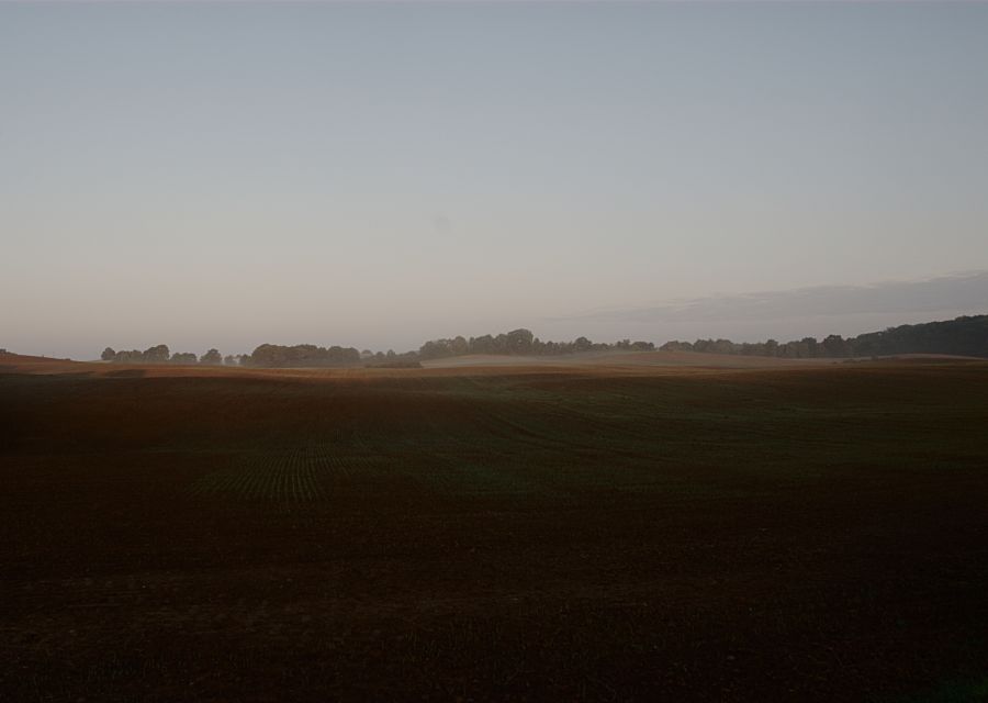 MorgenBeiZuchenhagen 0038 080927 900 80