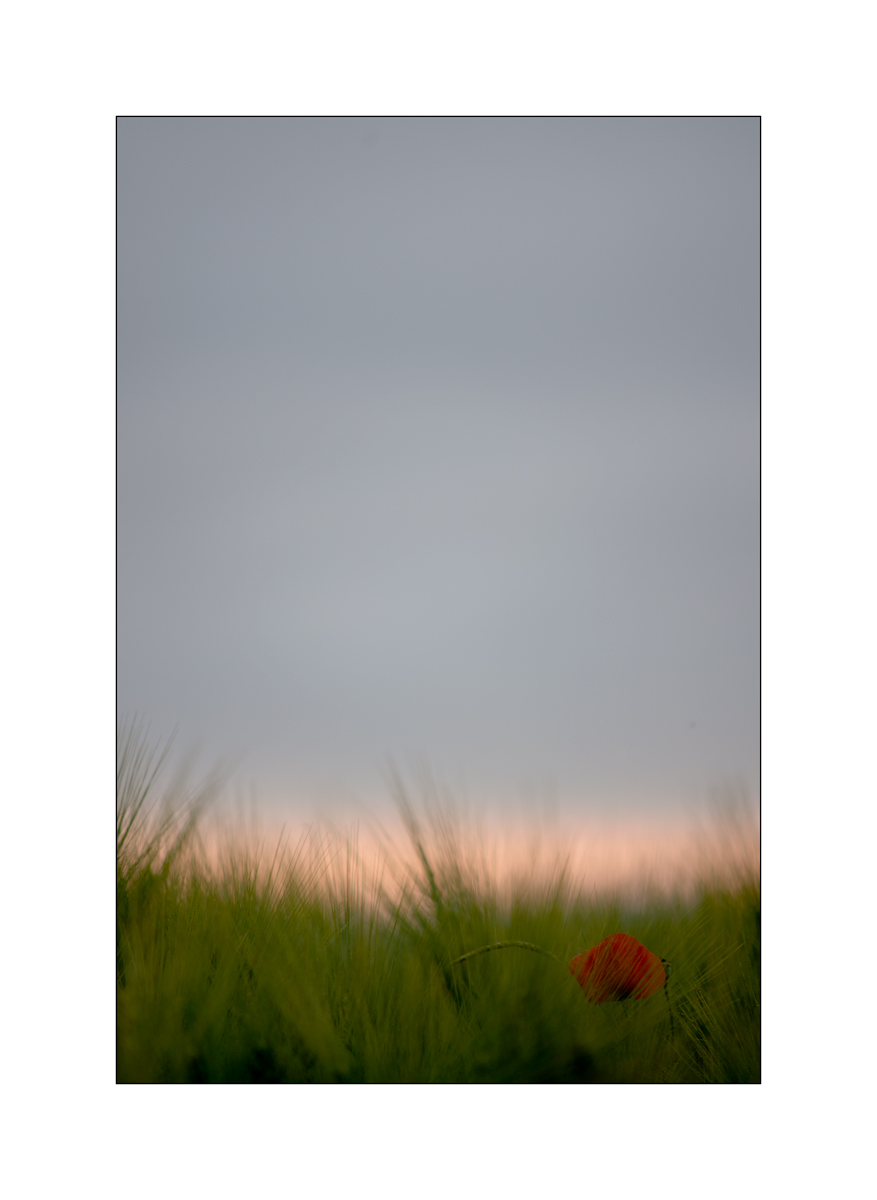 MorgenD4F_0187.jpg