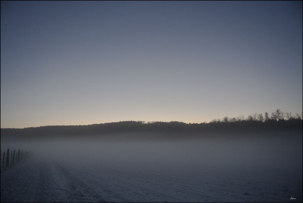 MorgenDSC 3005