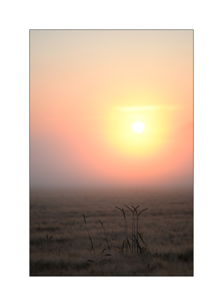 MorgenDSC_1991.jpg