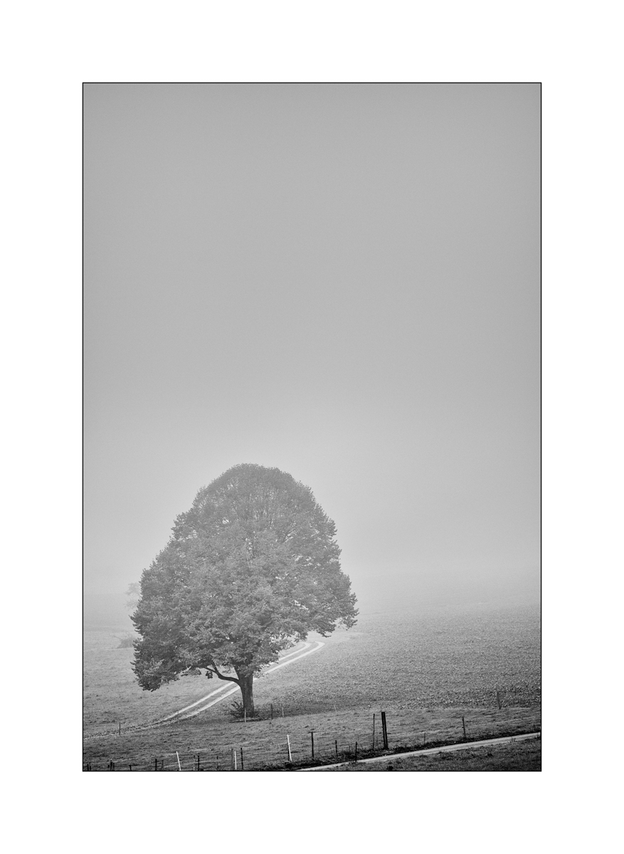 MorgenDSC_2891.jpg