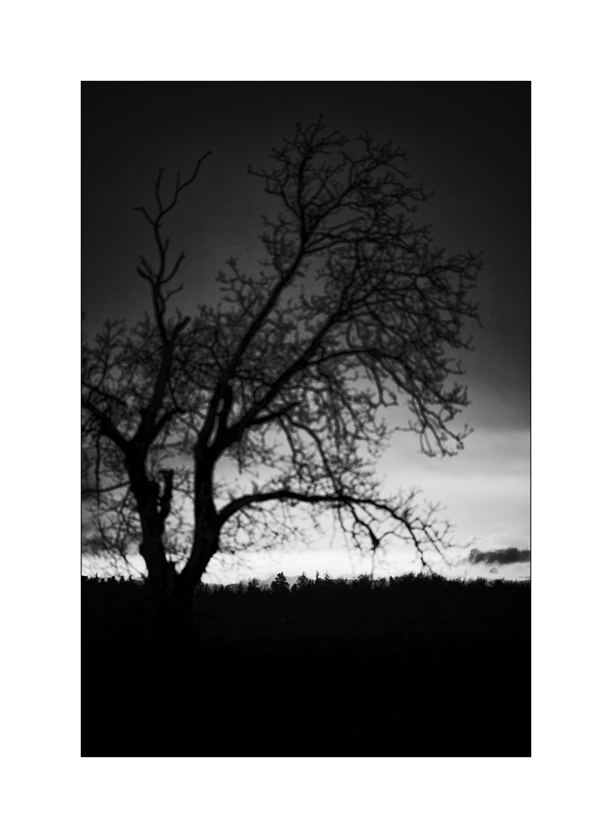 MorgenDSC_2965.jpg