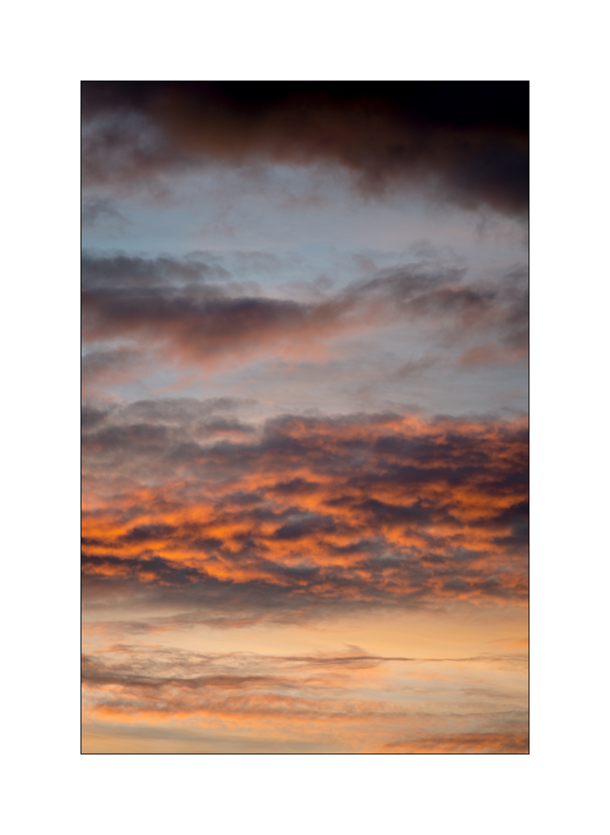 MorgenDSC_2984.jpg