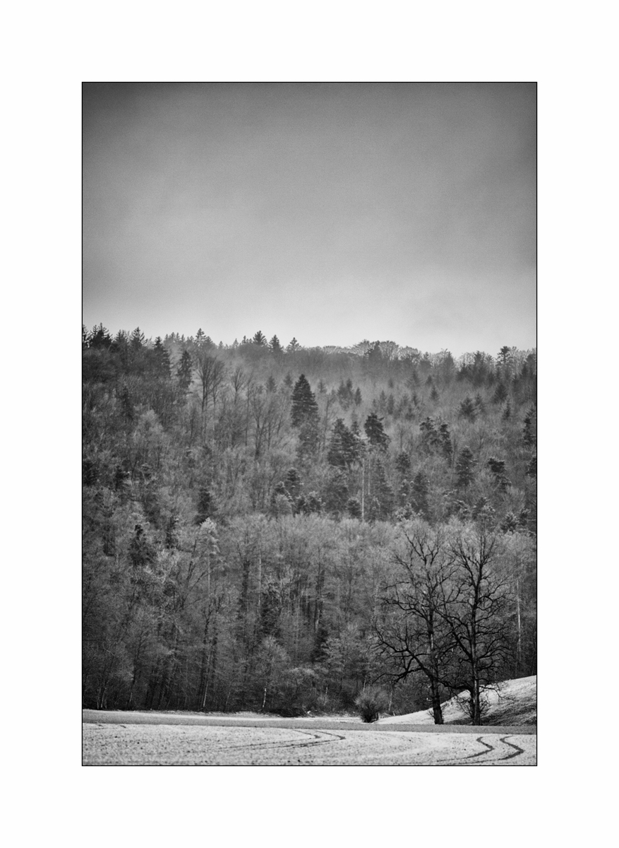 MorgenDSC_3004.jpg