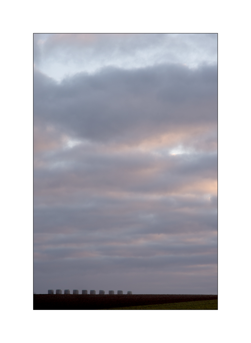MorgenDSC_3061.jpg
