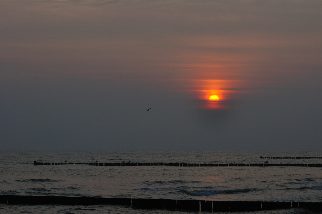 Morgengrauen 1