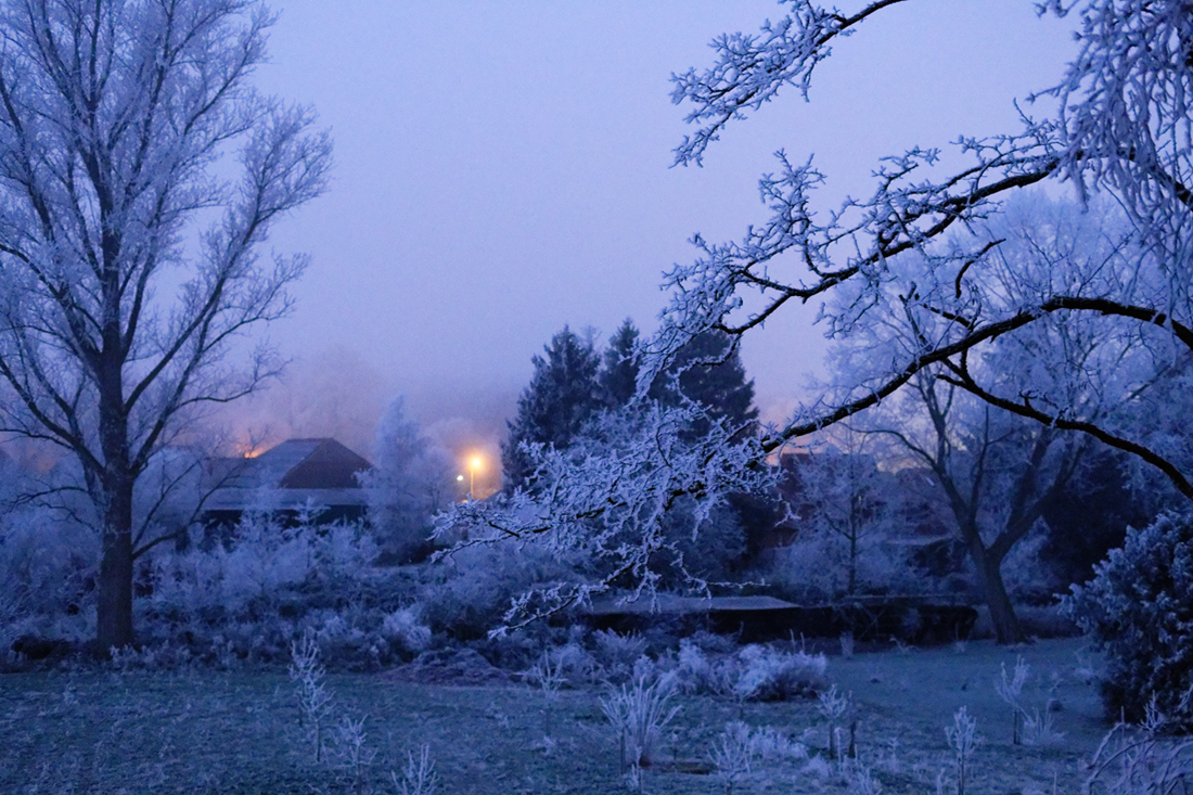 Morgengrauen am Tag darauf
