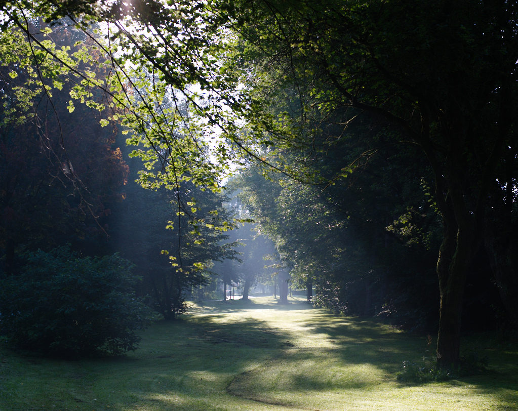 morgenlicht 1177 lzn