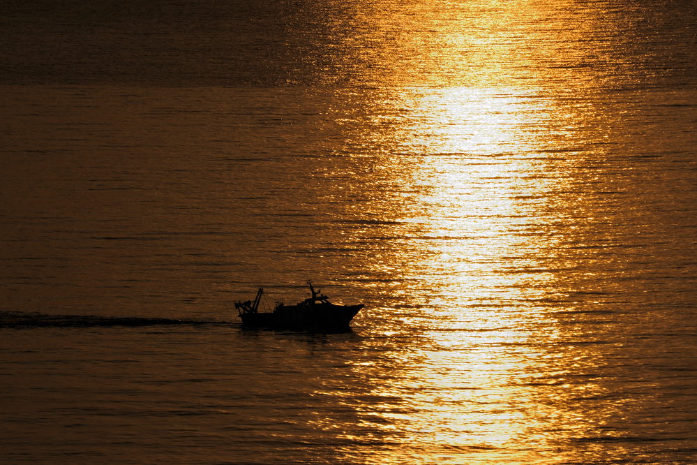 Morgenlicht