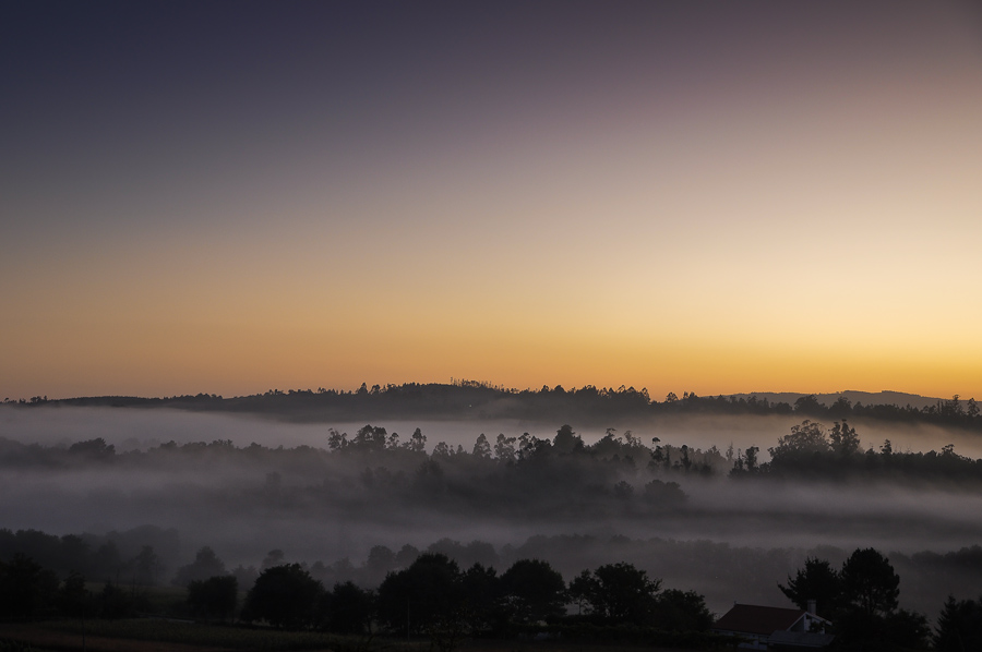 Morgennebel, Arzúa (E).