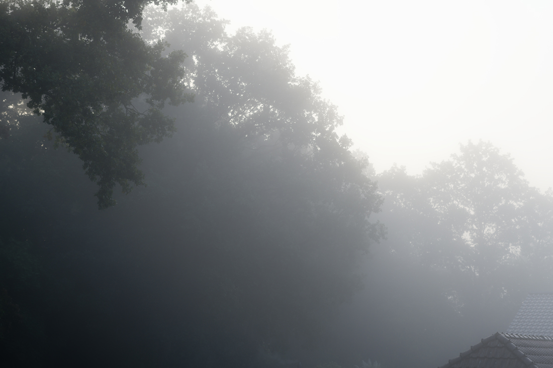 Morgennebel.jpg