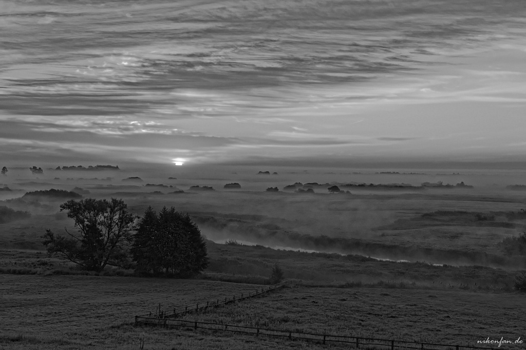 Morgennebel