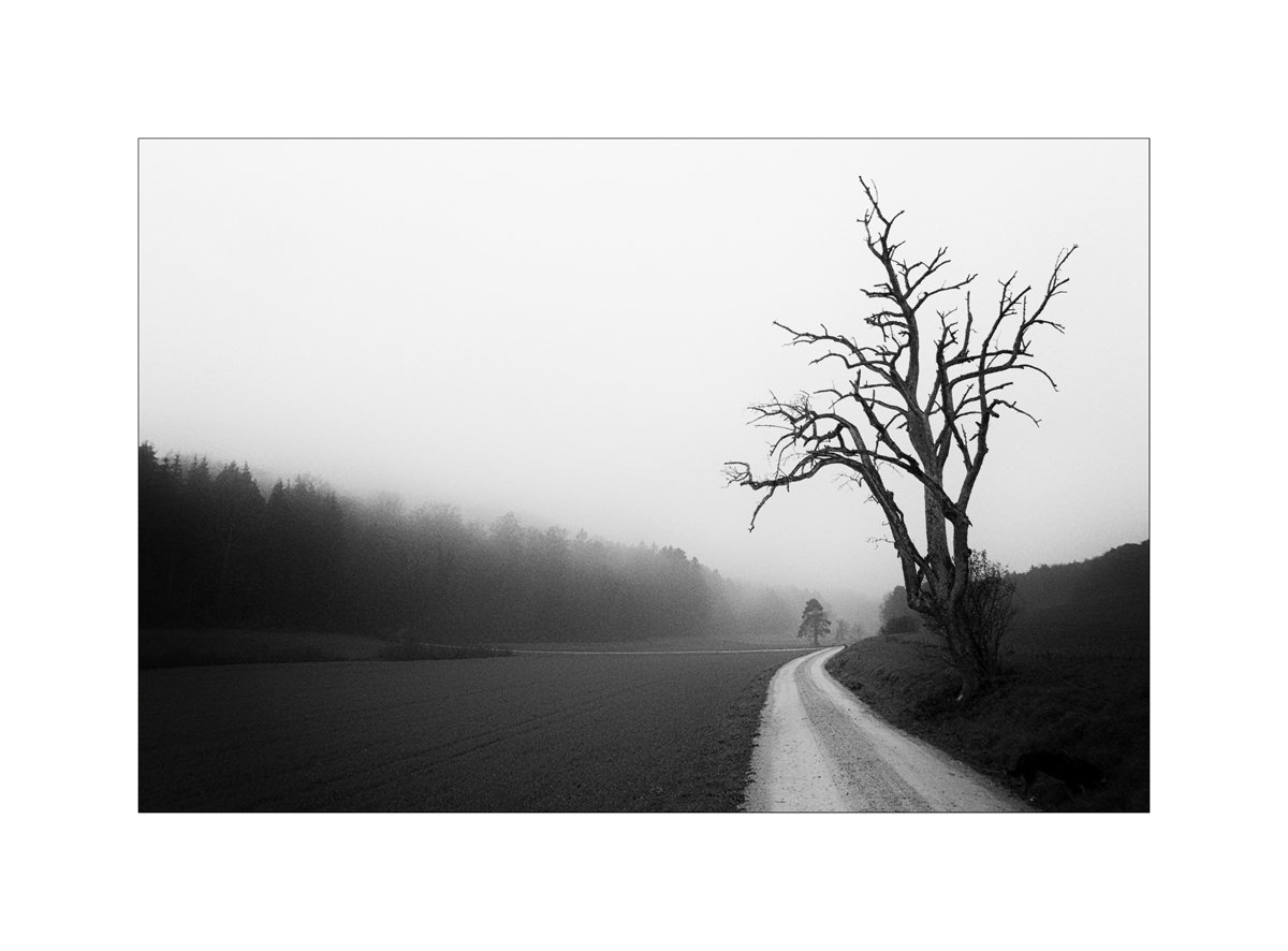MorgenP1000409