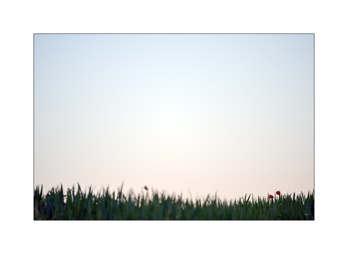 MorgenPZ1 1647