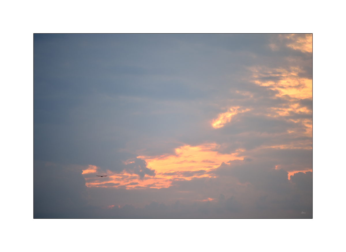 MorgenPZ1 1892
