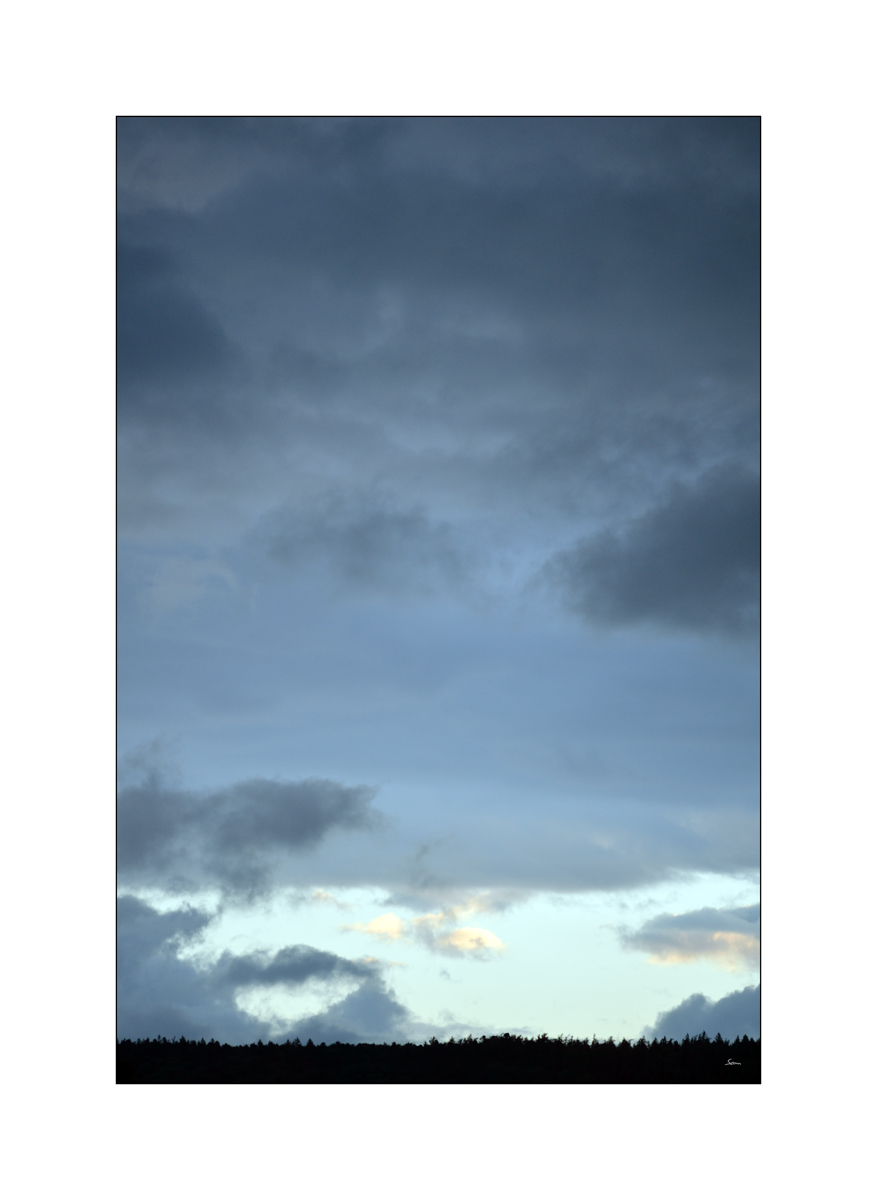 MorgenPZ1 2013