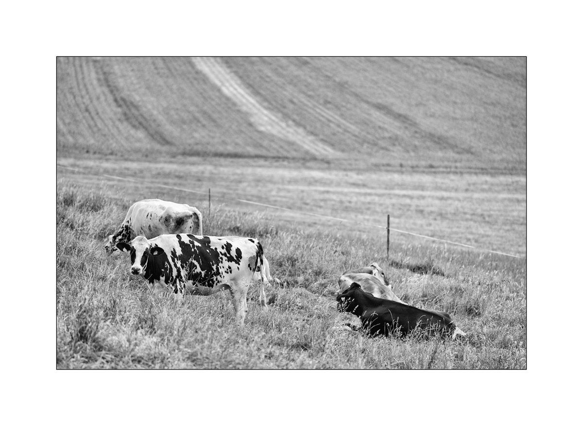MorgenPZ1 2065