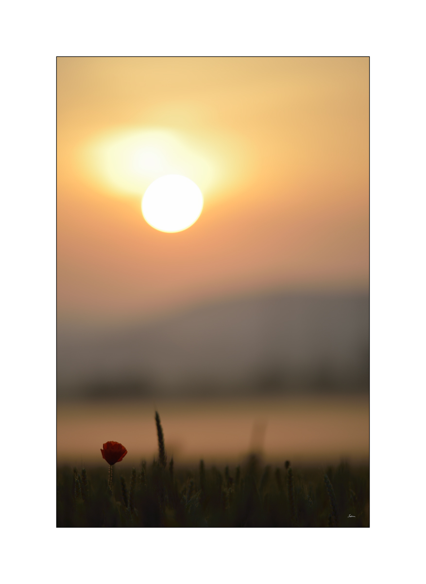 MorgenPZ1 2081