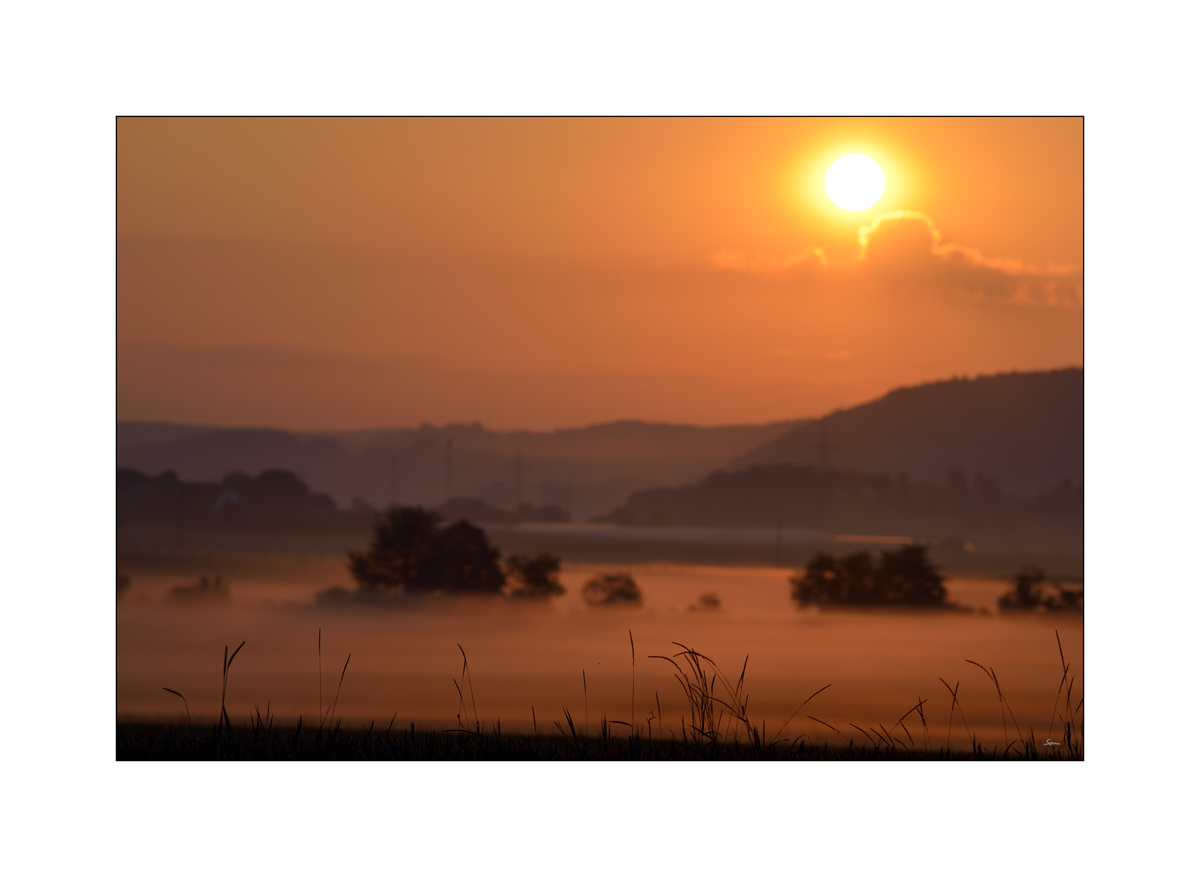 MorgenPZ1 2103