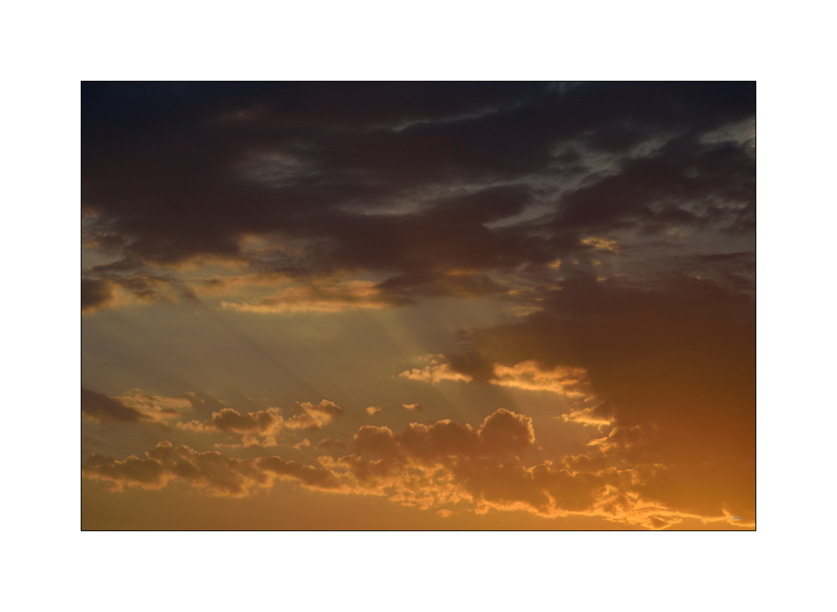 MorgenPZ1 2126