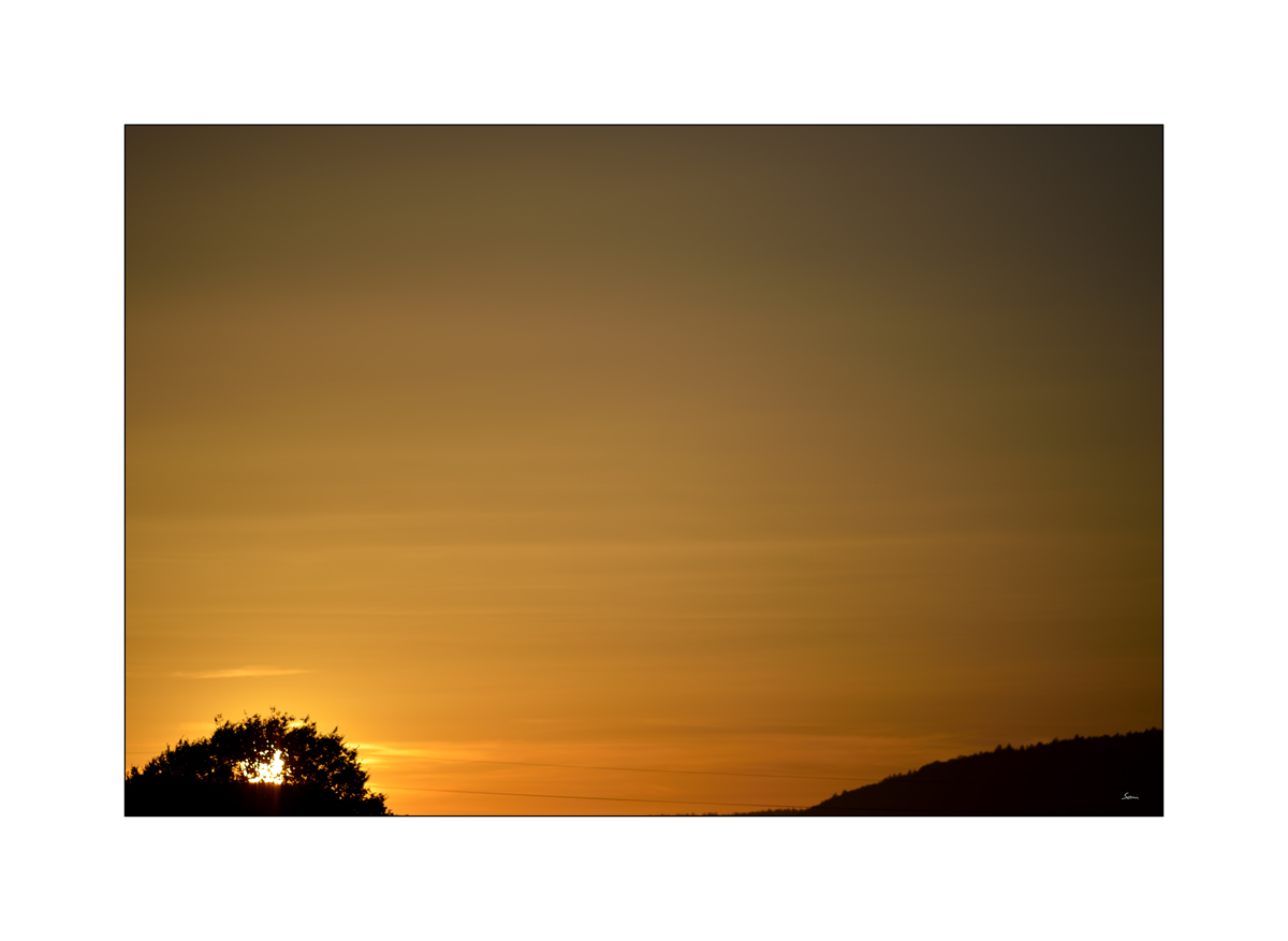 MorgenPZ1 2200
