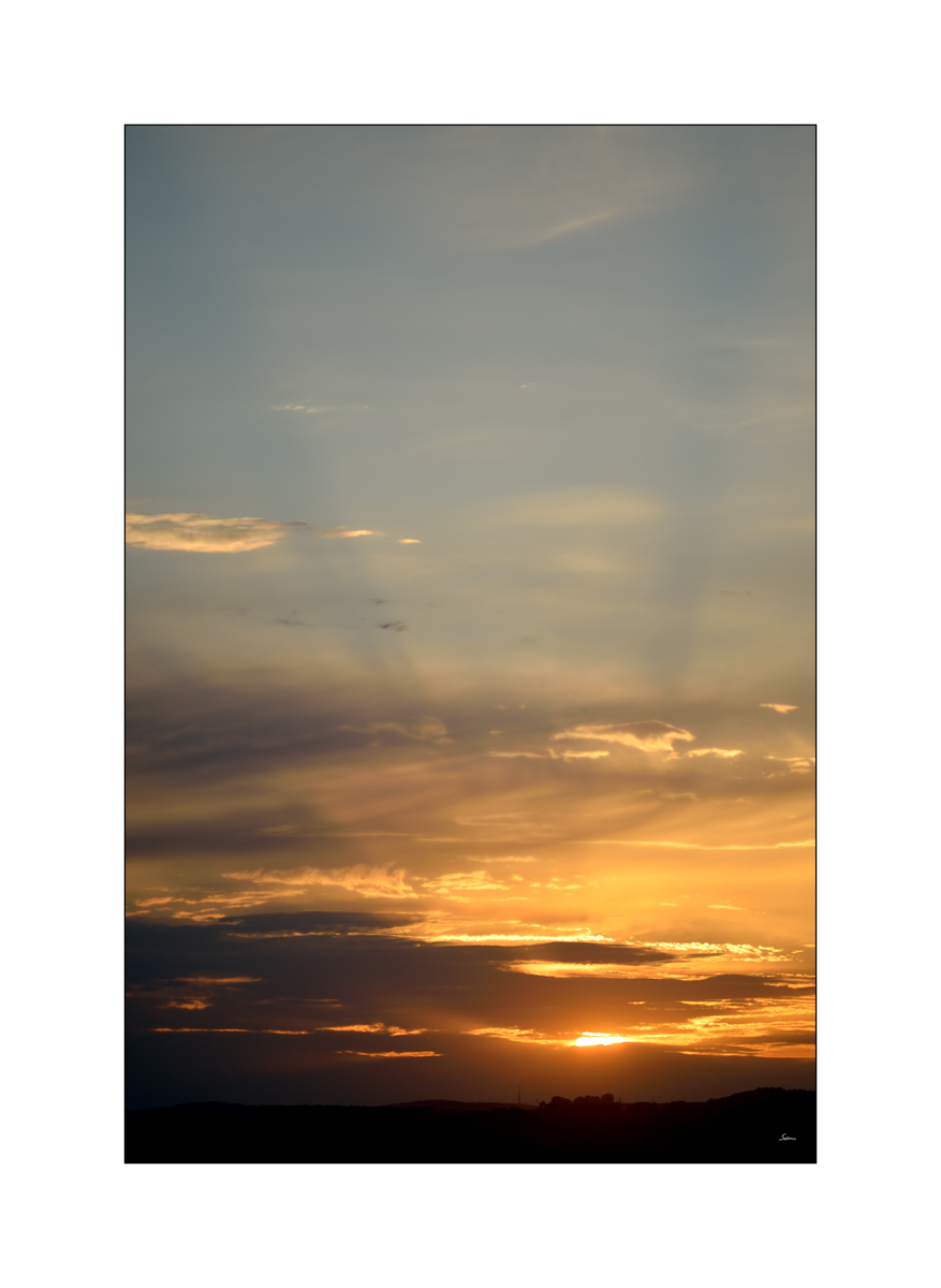MorgenPZ1 2207