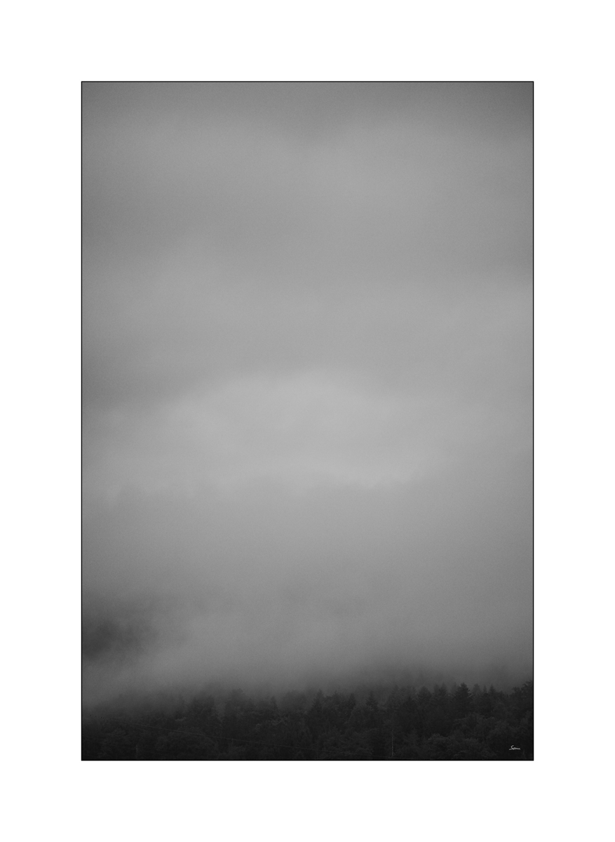 MorgenPZ1 2232