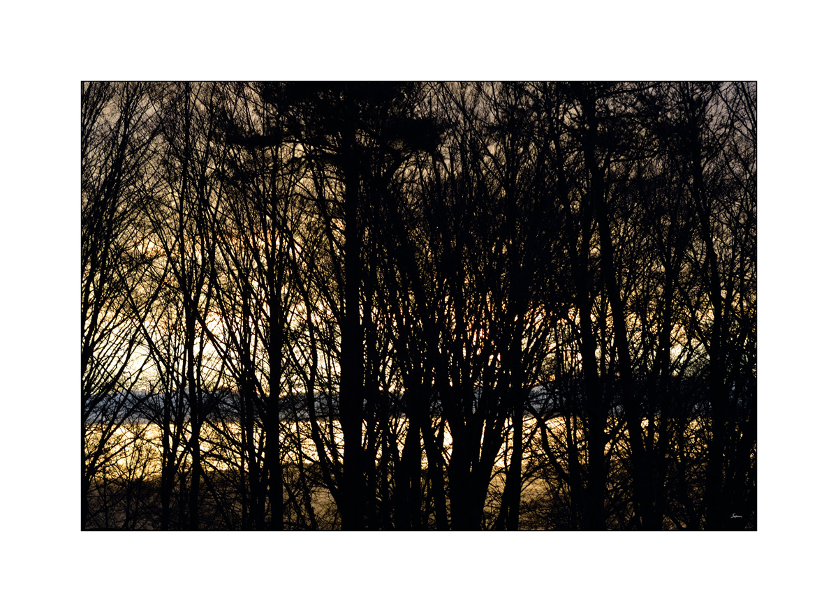 MorgenPZ1 4965