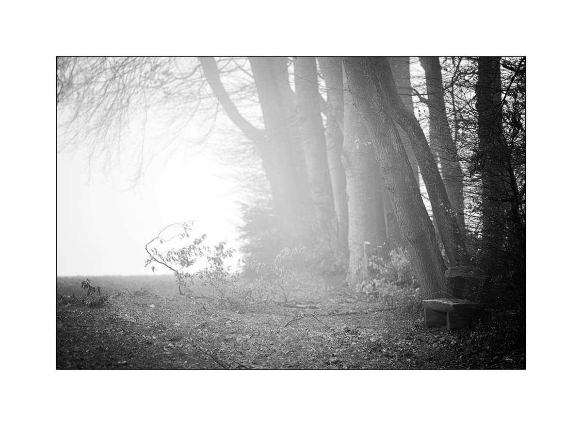 MorgenPZ1 5169
