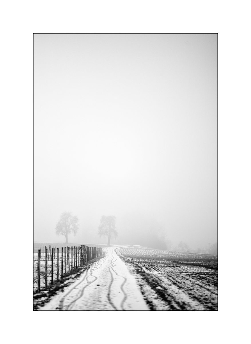 MorgenPZ1 5793