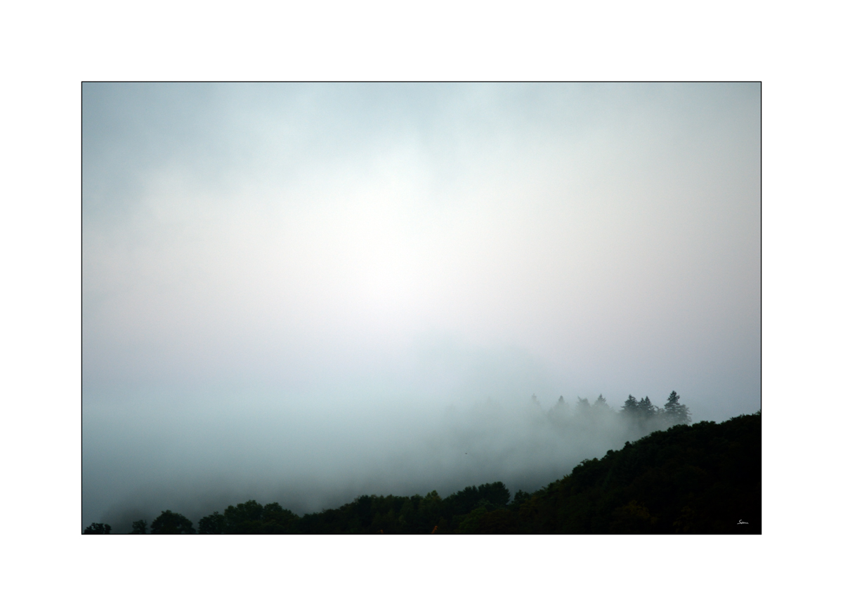 MorgenPZ1 6019