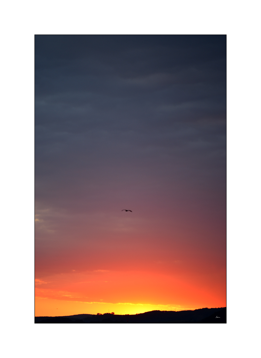 MorgenPZ1 7719