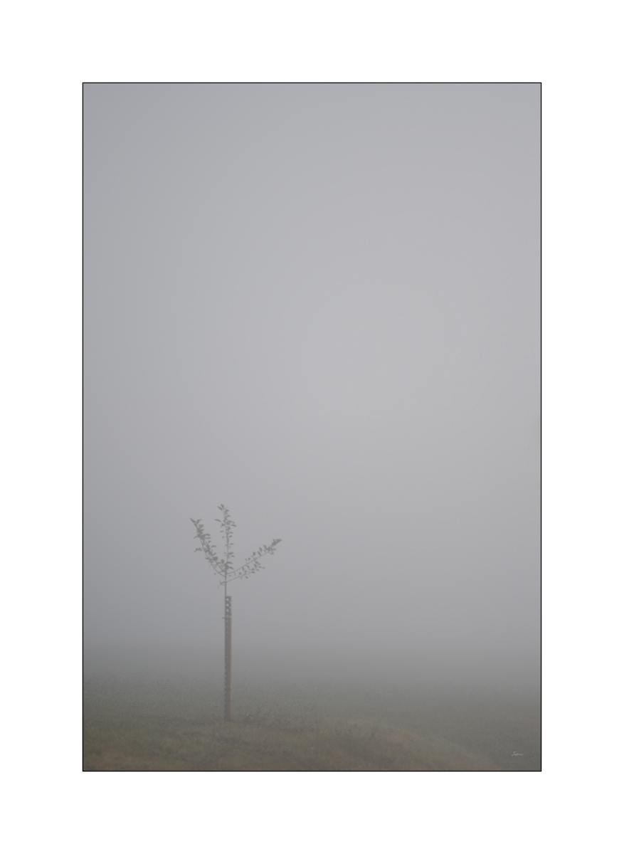 MorgenPZ1 8202