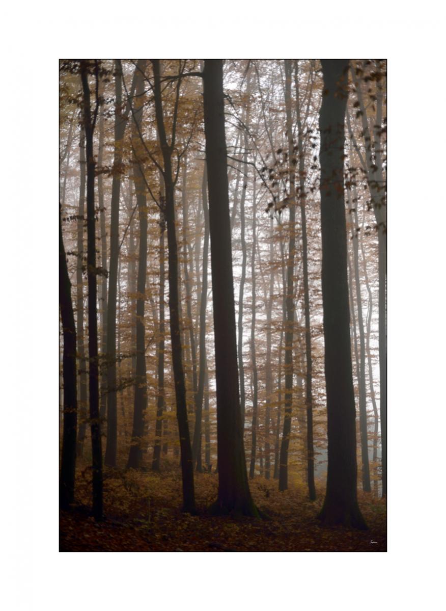 MorgenPZ1 9120
