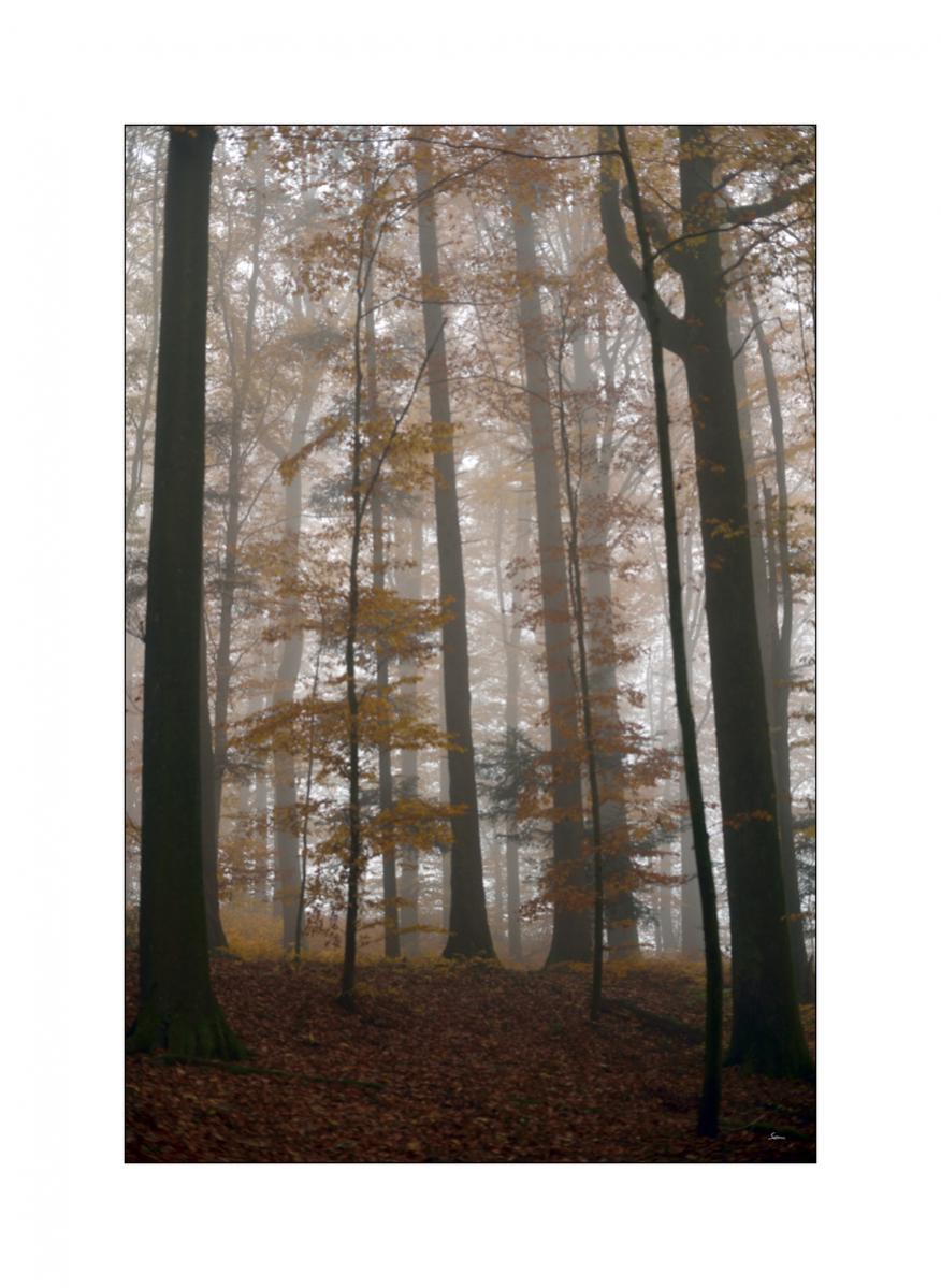 MorgenPZ1 9123
